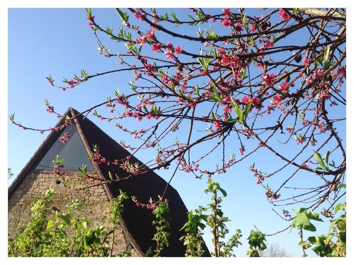 A L'Ombre Du Tilleul Comiac Bed & Breakfast